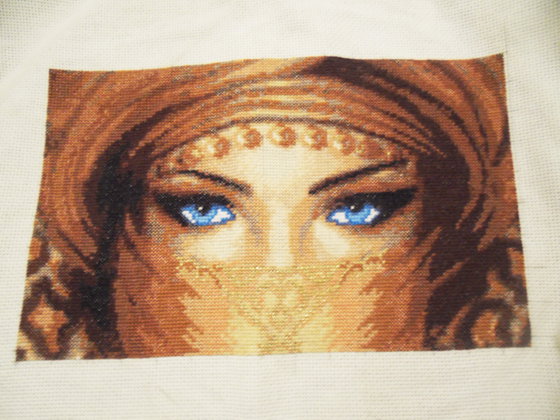 Работа «№20419»