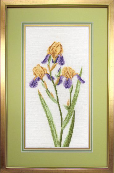 Работа «повитруля ирисы»