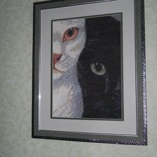 Работа «Инь Янь»