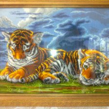 Работа «тигрята»
