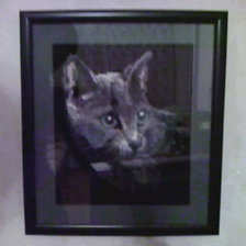 Работа «№20978»