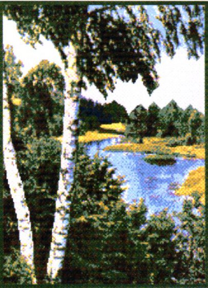 Работа «Берёзки»