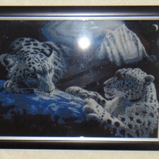 Работа «СНЕЖНЫЕ БАРСЫ»