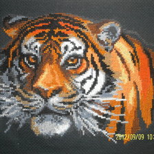 Работа «Тигр»