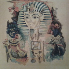 Работа «№21959»