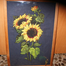 Работа «подсолнухи на черной конве»