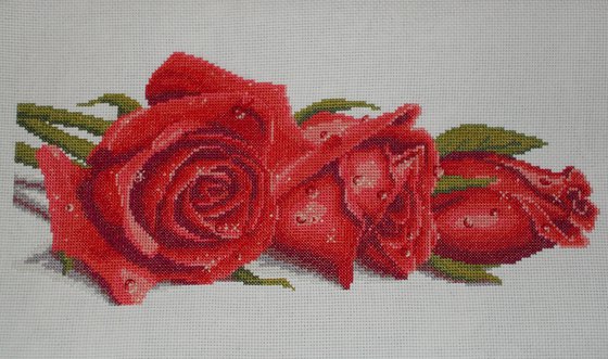 Работа «Розы в росе»