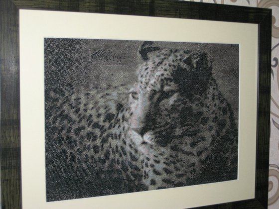 Работа «леопард»