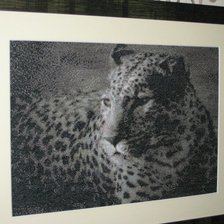 Работа «леопард»