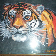 Работа «Тигр»