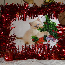 Работа «котенок»