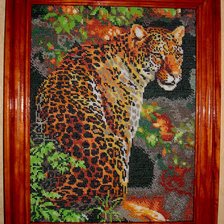 Работа «Дикая кошечка»