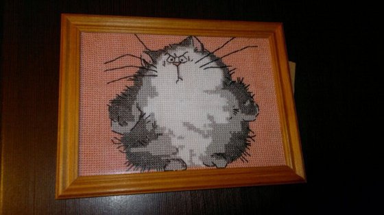 Работа «Кот»