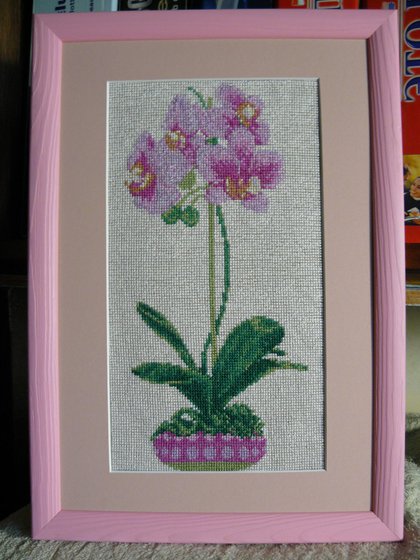 Работа «Орхидея. 08. 2013.»