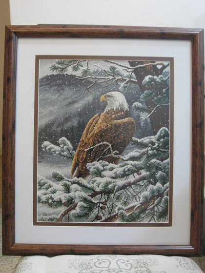 Работа «Взгляд орла»