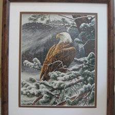 Работа «Взгляд орла»