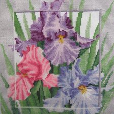 Работа «Ирисы»