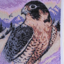 Работа «Сокол - царская птица.»