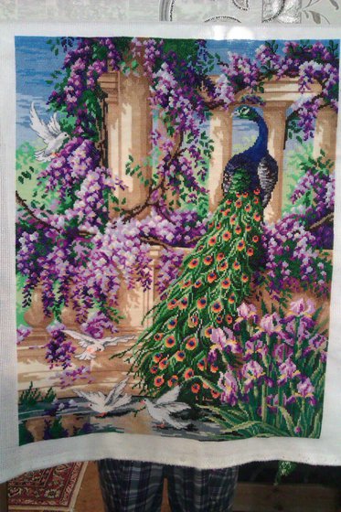 Работа «павлин в саду»