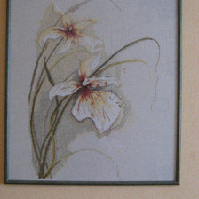 Работа «№23485»