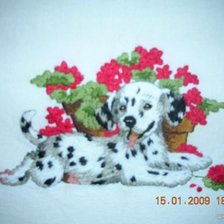 Работа «Далматинец»