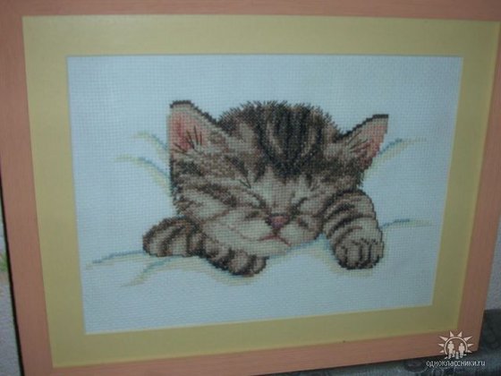 Работа «Котенок спит»