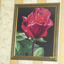 Работа «Роза-королева цветов.»