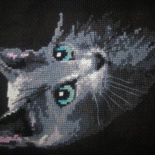 Работа «Серый кот на черном фоне»