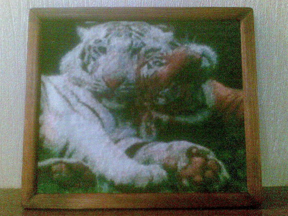 Работа «Моя первая вышивка )»