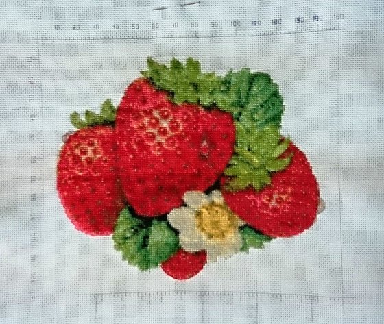 Работа «Moi klubniki»