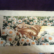 Работа «Ромашковая фея»