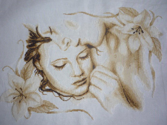 Работа «№24077»