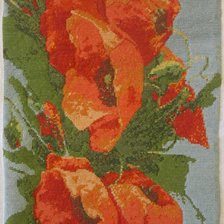 Работа «Маки из "ДК", 16 аида»