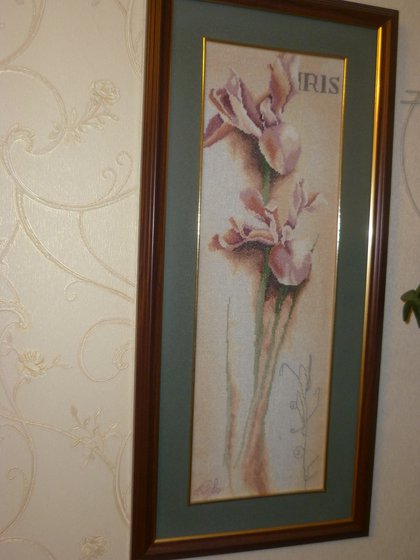 Работа «Ирис»