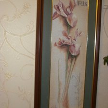 Работа «Ирис»