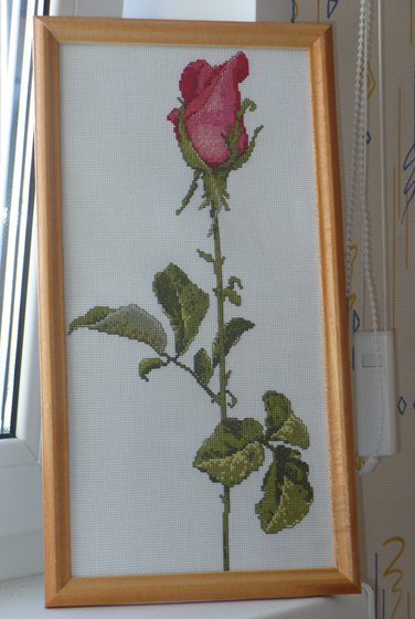 Работа «№24753»