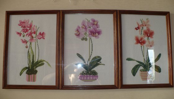 Работа «№24762»