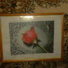 Работа «роза»
