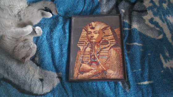 Работа «№24833»