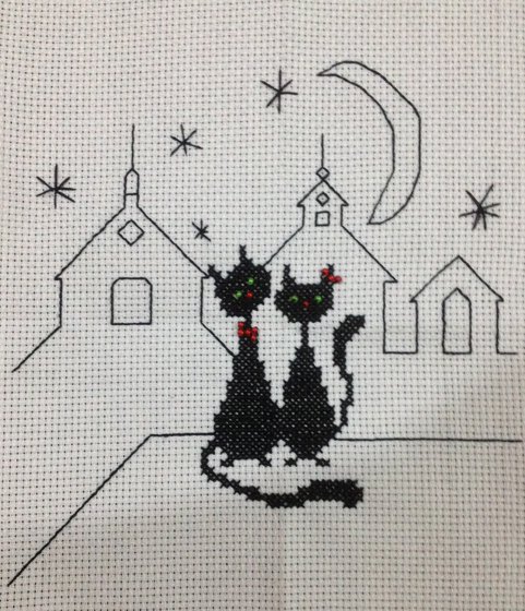 Работа «Лунная ночь»