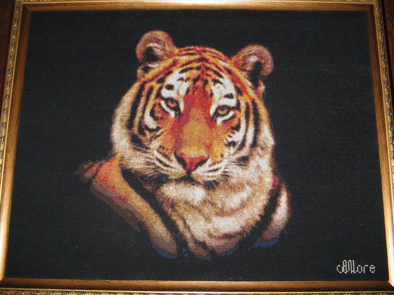 Работа «№25062»