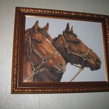 Работа «Они же - мои лошадки.»