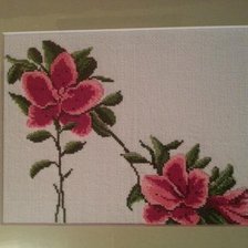 Работа «Туфелька»