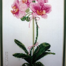 Работа «№26357»