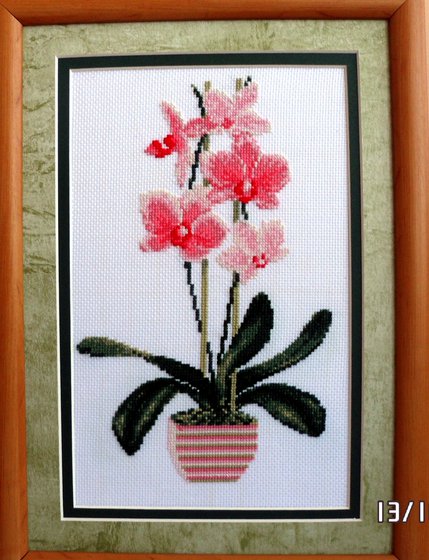 Работа «№26369»