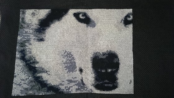 Работа «Волк»