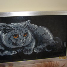 Работа «Мурлыка.»