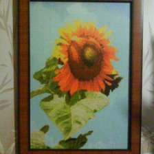 Работа «№26974»