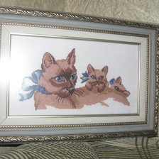 Работа «№27893»