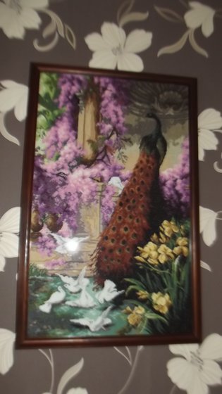 Работа «Pawie»